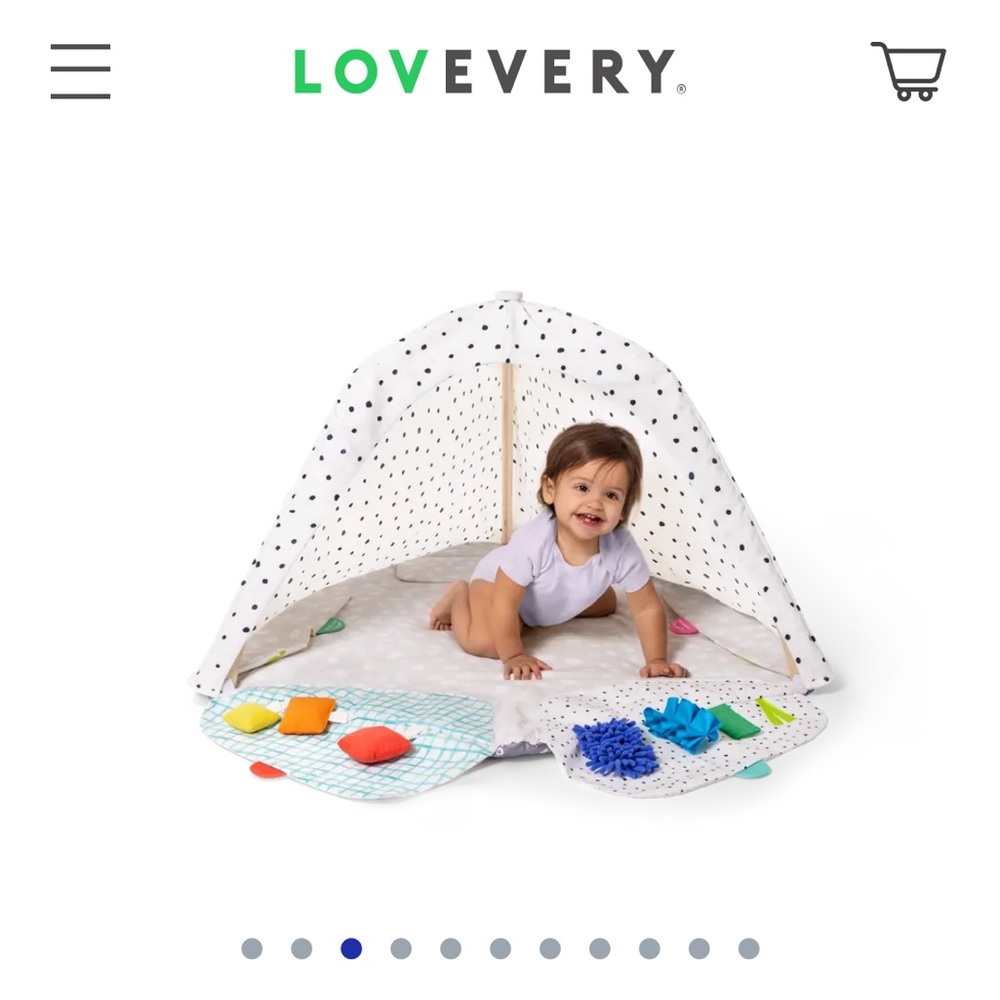 Lovevery Play Gym